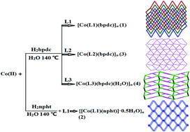 Graphical abstract: Four cobalt(ii) coordination polymers with diverse topologies derived from flexible bis(benzimidazole) and aromatic dicarboxylic acids: syntheses, crystal structures and catalytic properties