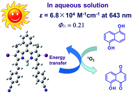 Graphical abstract: BODIPY-based photosensitizers with intense visible light harvesting ability and high 1O2 quantum yield in aqueous solution