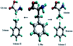 Graphical abstract: Fragment based electronic structural analysis of l-phenylalanine using calculated ionization spectroscopy and dual space analysis