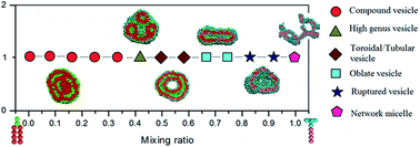 Graphical abstract: The self-assembly of linear–dendritic and lipid-like copolymers investigated by computer simulations