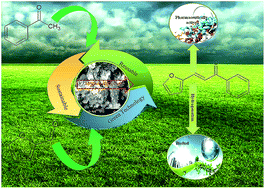 Graphical abstract: Novelty of Claisen–Schmidt condensation of biomass-derived furfural with acetophenone over solid super base catalyst
