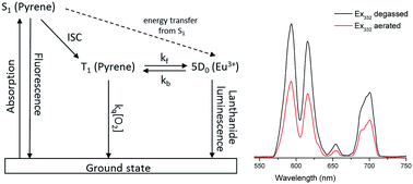 Graphical abstract: Exploring energy transfer between pyrene complexes and europium ions – potential routes to oxygen sensors