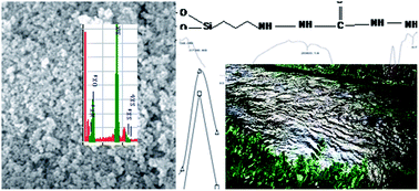 Graphical abstract: Functionalized nanospheres for efficient sequestration of cadmium ions
