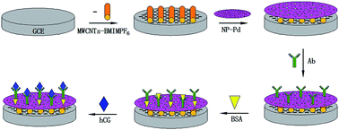Graphical abstract: A novel signal amplification strategy of an electrochemical immunosensor for human chorionic gonadotropin, based on nanocomposites of multi-walled carbon nanotubes–ionic liquid and nanoporous Pd