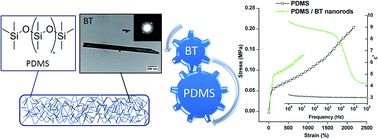Graphical abstract: Silicone–barium titanate composites with increased electromechanical sensitivity. The effects of the filler morphology