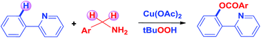 Graphical abstract: Benzylamine as an arylcarboxy surrogate: a copper catalysed o-benzoxylation of 2-phenylpyridines using benzyl amines