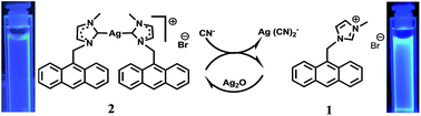 Graphical abstract: Fluorescent chemodosimeter based on NHC complex for selective recognition of cyanide ions in aqueous medium