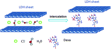 Graphical abstract: Dexamethasone sodium phosphate intercalated layered double hydroxides and their therapeutic efficacy in a murine asthma model