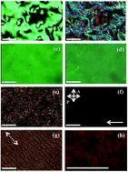 Graphical abstract: Flow properties of a twist-bend nematic liquid crystal