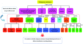Graphical abstract: A rapid and integrated pyramid screening method to classify and identify complex endogenous substances with UPLC/Q-TOF MS-based metabolomics