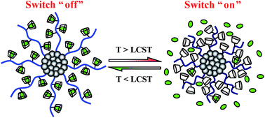 Graphical abstract: Temperature-switched controlled release nanosystems based on molecular recognition and polymer phase transition