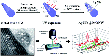 Graphical abstract: Photoinduced synthesis of Ag nanoparticles on ZnO nanowires for real-time SERS systems