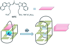 Graphical abstract: A supramolecular probe for colorimetric detection of Pb2+ based on recognition of G-quadruplex