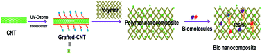 Graphical abstract: A green technique to prepare uniform amine capped multi-walled carbon nanotubes to fabricate high strength, protein resistant polymer nanocomposites