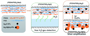 Graphical abstract: Highly sensitive and colorimetric detection of hydrogen sulphide by in situ formation of Ag2S@Ag nanoparticles in polyelectrolyte multilayer film