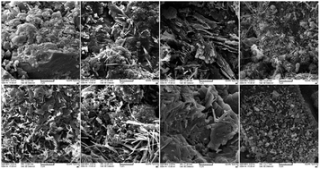 Graphical abstract: Boroaluminosilicate geopolymers: role of NaOH concentration and curing temperature