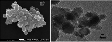 Graphical abstract: Evolution of structural and thermal properties of carbon-coated TaC nanopowder synthesized by single step reduction of Ta-ethoxide