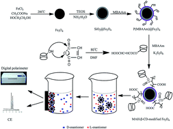 Graphical abstract: Enantioselective absorption of enantiomers with maleic anhydride-β-cyclodextrin modified magnetic microspheres