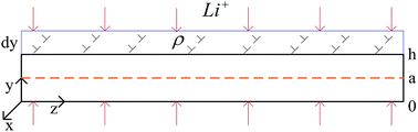 Graphical abstract: Diffusion induced stress and the distribution of dislocations in a nanostructured thin film electrode during lithiation