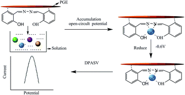 Graphical abstract: Selective electrochemical determination of trace level copper using a salicylaldehyde azine/MWCNTs/Nafion modified pyrolytic graphite electrode by the anodic stripping voltammetric method
