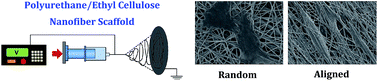 Graphical abstract: A novel polyurethane/cellulose fibrous scaffold for cardiac tissue engineering