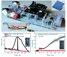Graphical abstract: A compact multifunctional microfluidic platform for exploring cellular dynamics in real-time using electrochemical detection