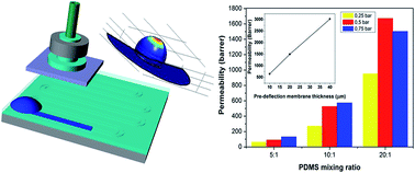 Graphical abstract: PDMS membranes with tunable gas permeability for microfluidic applications
