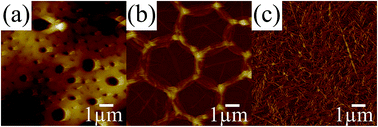 Graphical abstract: Unique self-assembly behavior of amphiphilic block copolymers at liquid/liquid interfaces
