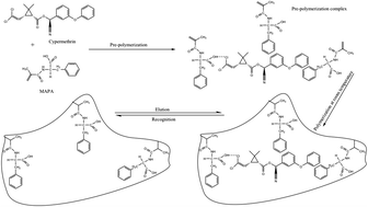 Graphical abstract: Synthesis and characterization of molecularly imprinted polymer embedded composite cryogel discs: application for the selective extraction of cypermethrins from aqueous samples prior to GC-MS analysis
