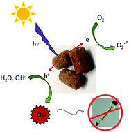 Graphical abstract: A photocatalytic process for the eradication of dengue through ˙OH generation in the presence of sunlight and iron oxide