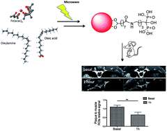 Graphical abstract: Microwave-driven synthesis of bisphosphonate nanoparticles allows in vivo visualisation of atherosclerotic plaque