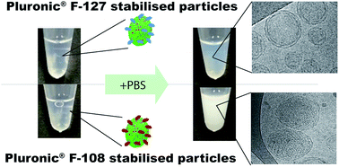 Graphical abstract: Physicochemical and cytotoxicity analysis of glycerol monoolein-based nanoparticles