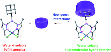 Graphical abstract: A supramolecular recyclable catalyst for aqueous Suzuki–Miyaura coupling