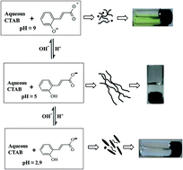 Graphical abstract: Micellar solution with pH responsive viscoelasticity and colour switching property