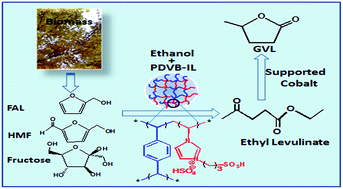 Graphical abstract: One-pot conversion of carbohydrates into gamma-valerolactone catalyzed by highly cross-linked ionic liquid polymer and Co/TiO2
