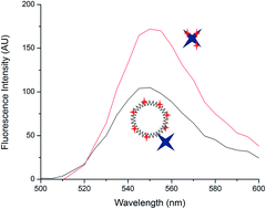 Graphical abstract: Investigation of dendrimers functionalized with eosin as macrophotoinitiators for polymerization-based signal amplification reactions