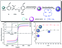 Graphical abstract: Adsorption of phosphate onto amine functionalized nano-sized magnetic polymer adsorbents: mechanism and magnetic effects