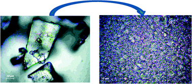 Graphical abstract: Effects of strongly aggregated silica nanoparticles on interfacial behaviour of water bound to lactic acid bacteria