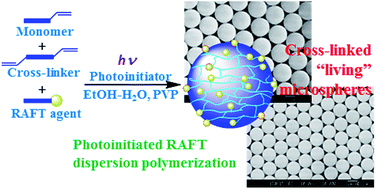 Graphical abstract: Monodisperse highly cross-linked “living” microspheres prepared via photoinitiated RAFT dispersion polymerization