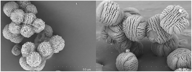 Graphical abstract: Assemblies of hybrid core–shell ZSM-5 zeolite materials