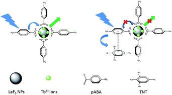 Graphical abstract: p-Aminobenzoic acid (pABA) sensitization of LaF3:Tb3+ nanoparticles and its applications in the detection of explosive materials