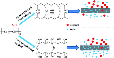 Graphical abstract: Cross-linking of poly(vinyl alcohol) with N,N′-methylene bisacrylamide via a radical reaction to prepare pervaporation membranes
