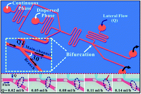 Graphical abstract: Controllable microdroplet splitting via additional lateral flow and its application in rapid synthesis of multi-scale microspheres