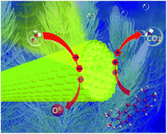 Graphical abstract: Bio-inspired double-layer structure artificial microreactor with highly efficient light harvesting for photocatalysts