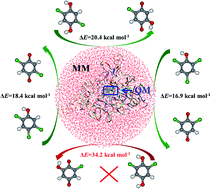Graphical abstract: Insights into the catalytic mechanism of chlorophenol 4-monooxygenase: a quantum mechanics/molecular mechanics study