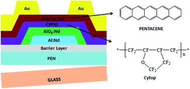 Graphical abstract: Flexible organic field-effect transistors with high-reliability gate insulators prepared by a room-temperature, electrochemical-oxidation process