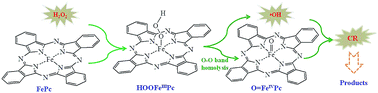Graphical abstract: Synergetic adsorption and catalytic oxidation performance originating from leafy graphite nanosheet anchored iron(ii) phthalocyanine nanorods for efficient organic dye degradation