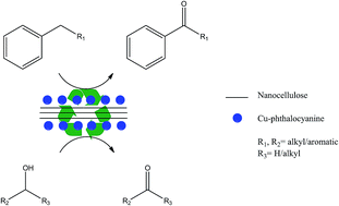 Graphical abstract: Nanocrystalline cellulose grafted phthalocyanine: a heterogeneous catalyst for selective aerobic oxidation of alcohols and alkyl arenes at room temperature in a green solvent