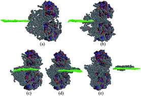 Graphical abstract: Mechanisms of graphyne-enabled cholesterol extraction from protein clusters