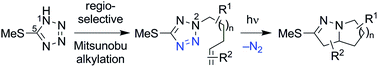 Graphical abstract: 5-(Methylthio)tetrazoles as versatile synthons in the stereoselective synthesis of polycyclic pyrazolines via photoinduced intramolecular nitrile imine–alkene 1,3-dipolar cycloaddition